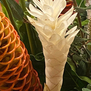 Meet your Posher, Damian